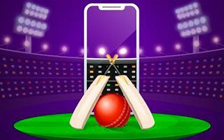 Indian Cricket Game Story